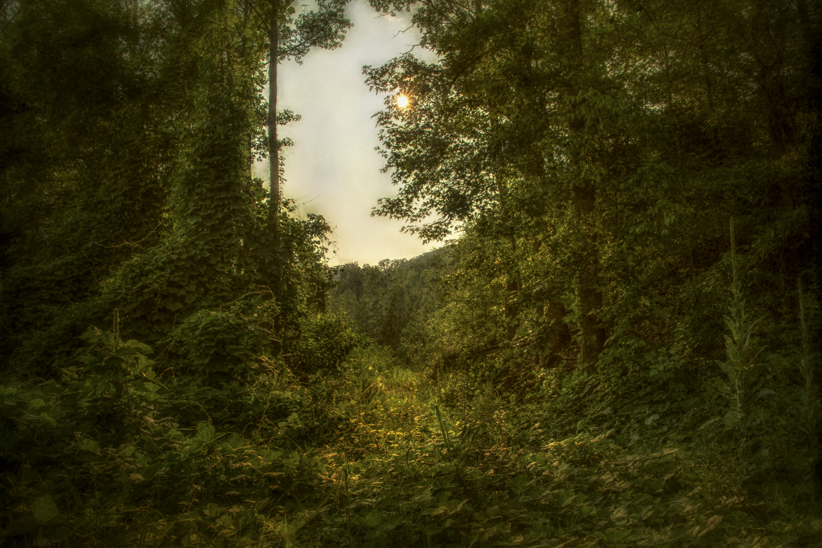 DSC 0538And8more 3925 3927 3929